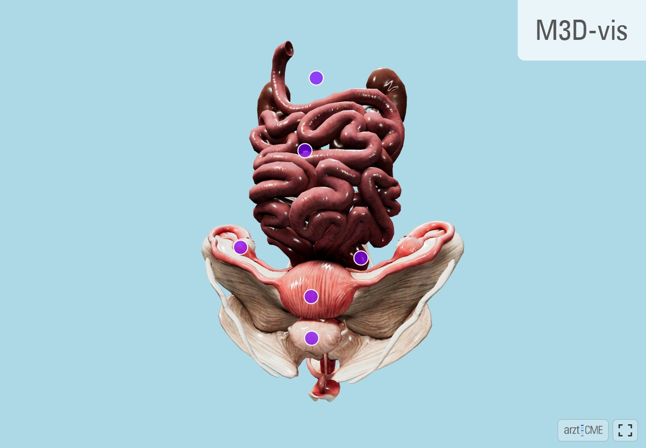 3D-Visualisierung